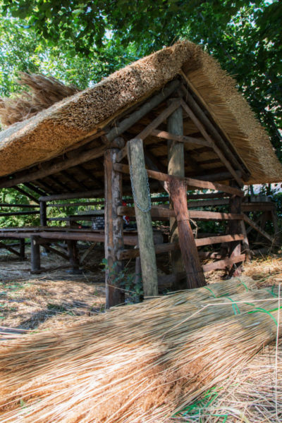 Openluchtmuseum Bokrijk Langgevelhoeve Heist Op Den Berg Bruegelhoeve Vorselaar Schuur Mol